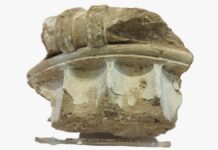 Греции вернули часть древней колонны, украденной в 1960-е годы