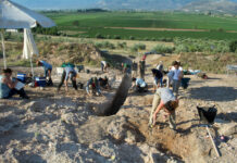 В Никосии обнаружен уникальный некрополь бронзового века