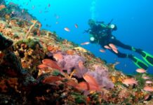 Греция уходит под воду – древние затонувшие корабли станут доступны дайверам