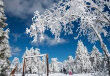 Кипр вошёл в Top-10 лучших мест в мире для зимнего отдыха