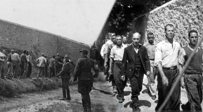 Греция объявила об обнаружении фото казней партизан нацистами в 1944 году