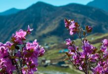 Названа самая популярная страна у россиян для отдыха на майские праздники