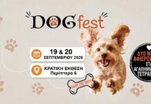 В Никосии пройдет первый собачий фестиваль