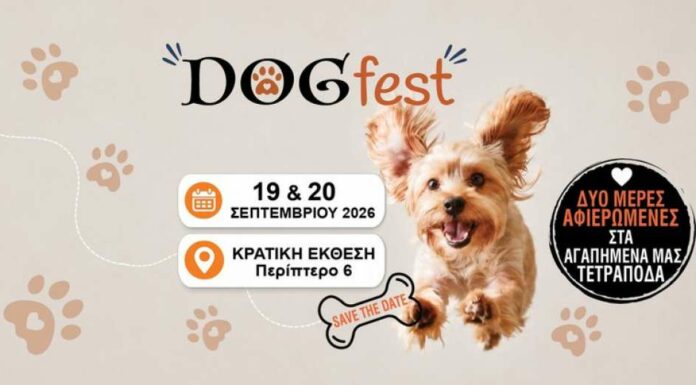 В Никосии пройдет первый собачий фестиваль